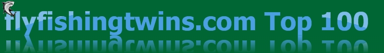 flyfishingtwinstop100.gotop100.com